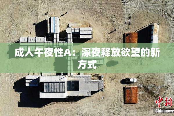 成人午夜性A：深夜释放欲望的新方式