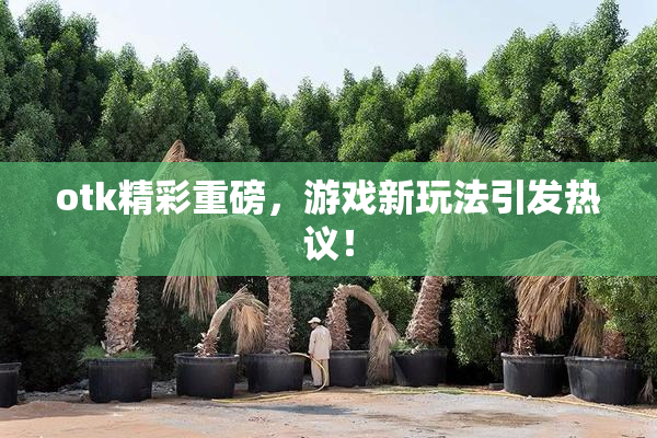 otk精彩重磅，游戏新玩法引发热议！