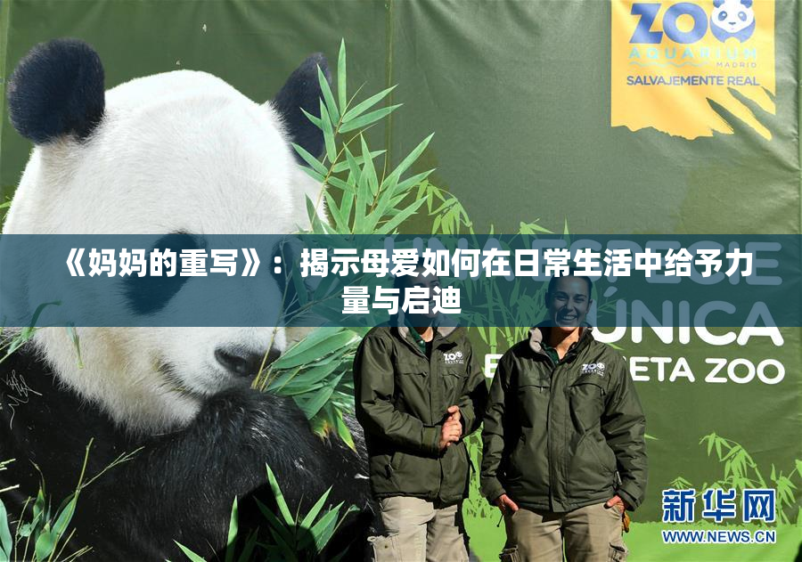 《妈妈的重写》：揭示母爱如何在日常生活中给予力量与启迪