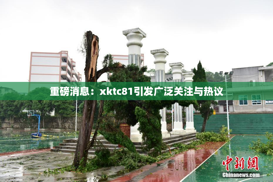 重磅消息：xktc81引发广泛关注与热议