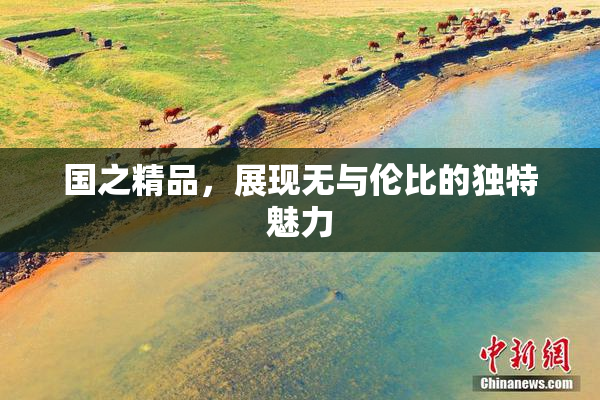 国之精品，展现无与伦比的独特魅力
