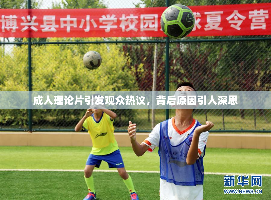 成人理论片引发观众热议，背后原因引人深思
