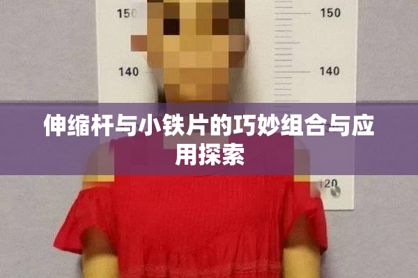 伸缩杆与小铁片的巧妙组合与应用探索