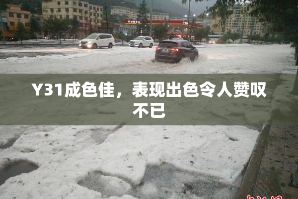 Y31成色佳，表现出色令人赞叹不已