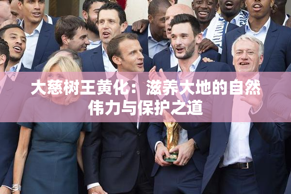 大慈树王黄化：滋养大地的自然伟力与保护之道