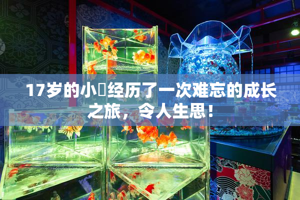 17岁的小泬经历了一次难忘的成长之旅，令人生思！