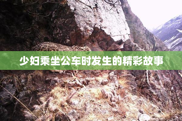少妇乘坐公车时发生的精彩故事