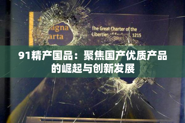 91精产国品：聚焦国产优质产品的崛起与创新发展