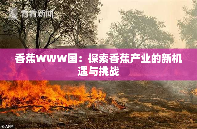 香蕉WWW国：探索香蕉产业的新机遇与挑战