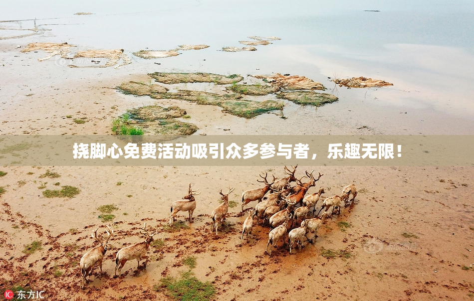 挠脚心免费活动吸引众多参与者，乐趣无限！