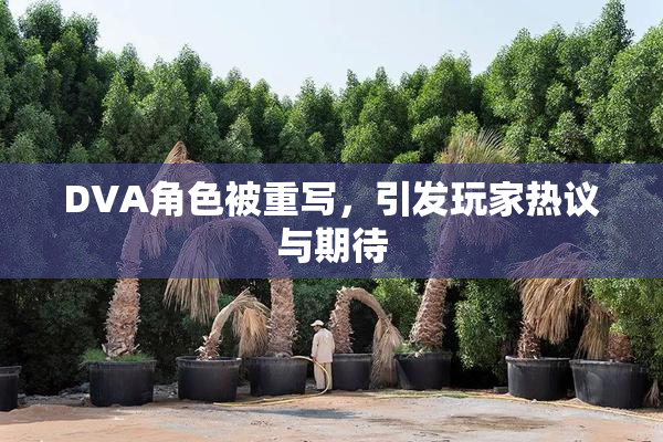 DVA角色被重写，引发玩家热议与期待