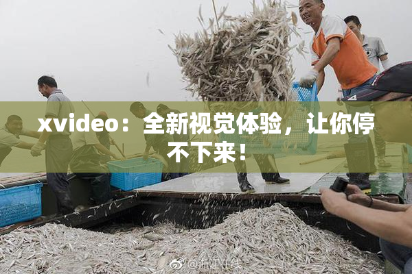 xvideo：全新视觉体验，让你停不下来！