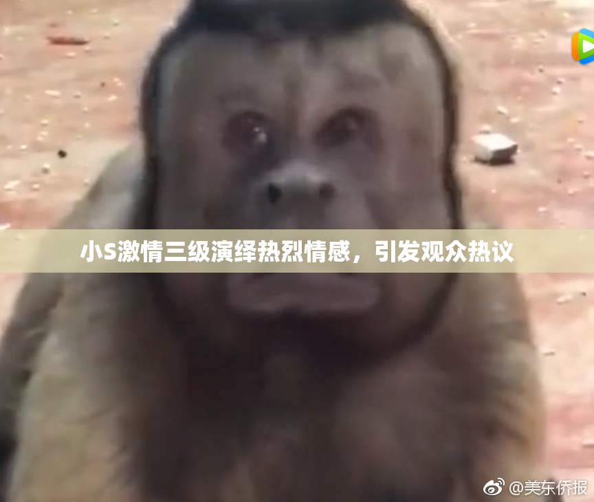 小S激情三级演绎热烈情感，引发观众热议