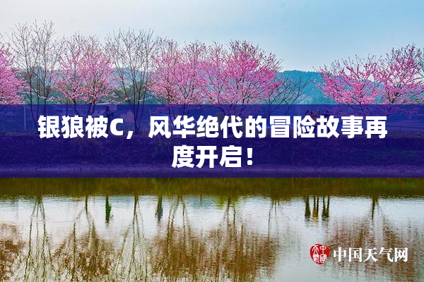 银狼被C，风华绝代的冒险故事再度开启！