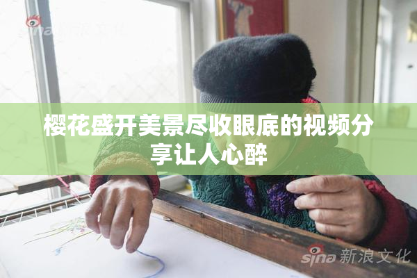 樱花盛开美景尽收眼底的视频分享让人心醉