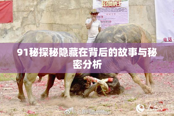 91秘探秘隐藏在背后的故事与秘密分析