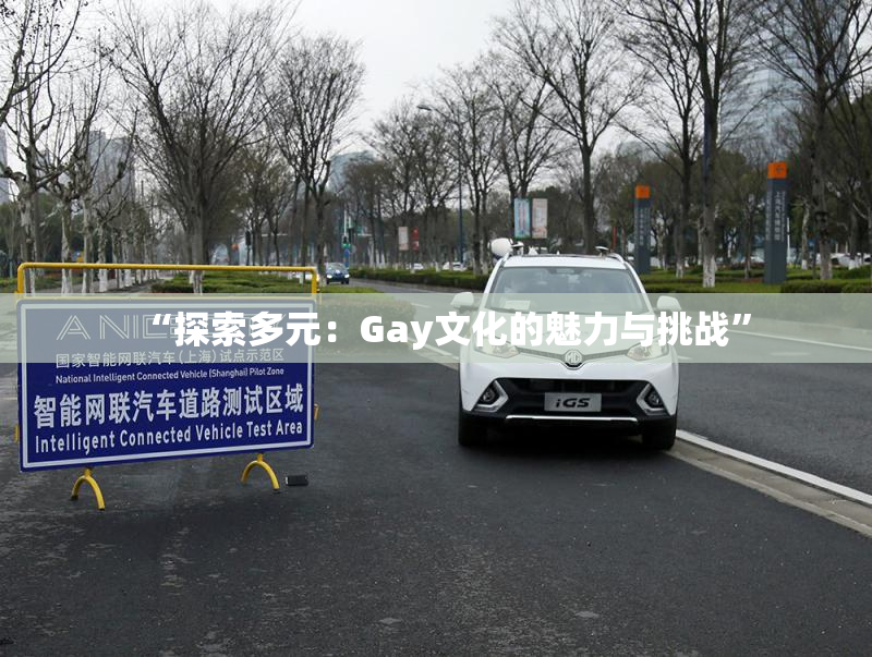 “探索多元：Gay文化的魅力与挑战”