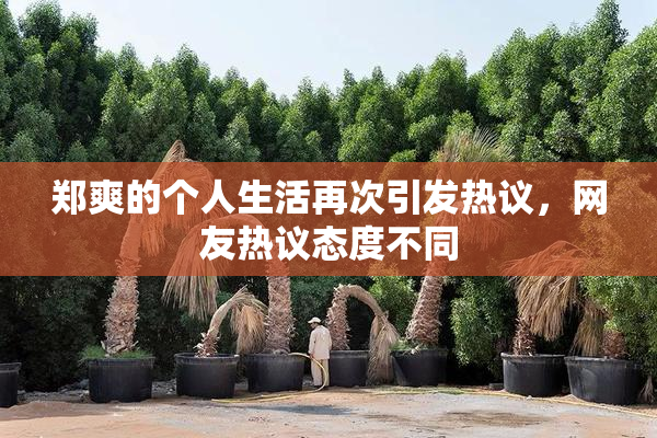 郑爽的个人生活再次引发热议，网友热议态度不同