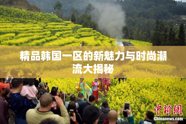 精品韩国一区的新魅力与时尚潮流大揭秘