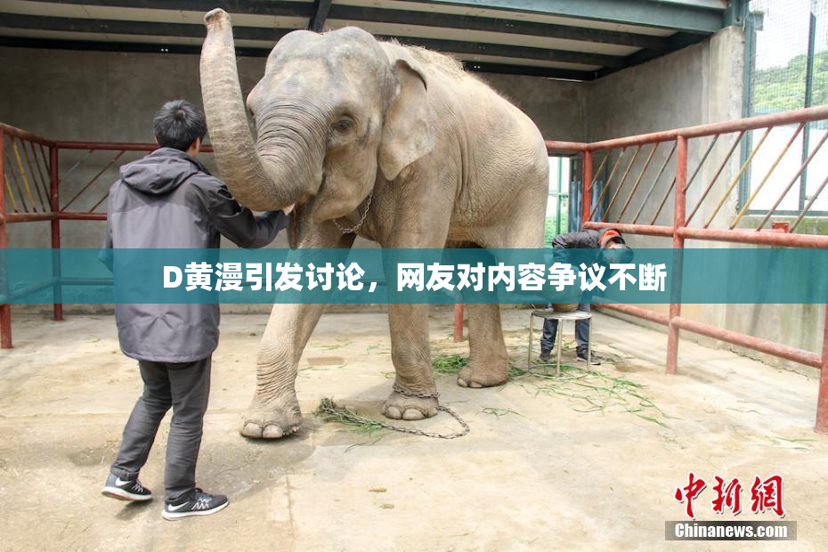 D黄漫引发讨论，网友对内容争议不断