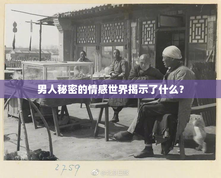 男人秘密的情感世界揭示了什么？