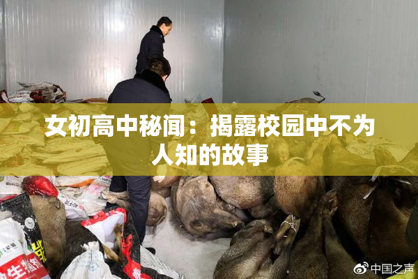 女初高中秘闻：揭露校园中不为人知的故事