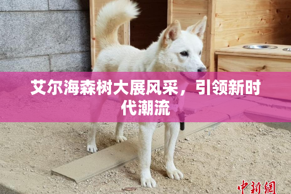 艾尔海森树大展风采，引领新时代潮流
