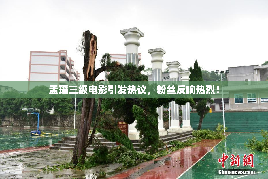 孟瑶三级电影引发热议，粉丝反响热烈！