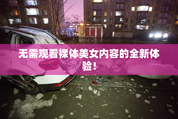 无需观看裸体美女内容的全新体验！