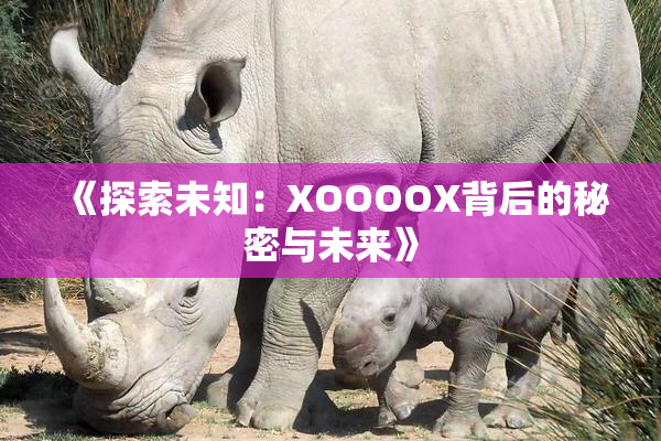 《探索未知：XOOOOX背后的秘密与未来》