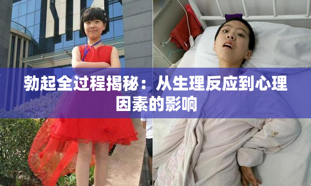 勃起全过程揭秘：从生理反应到心理因素的影响