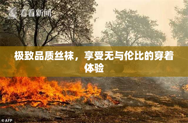 极致品质丝袜，享受无与伦比的穿着体验
