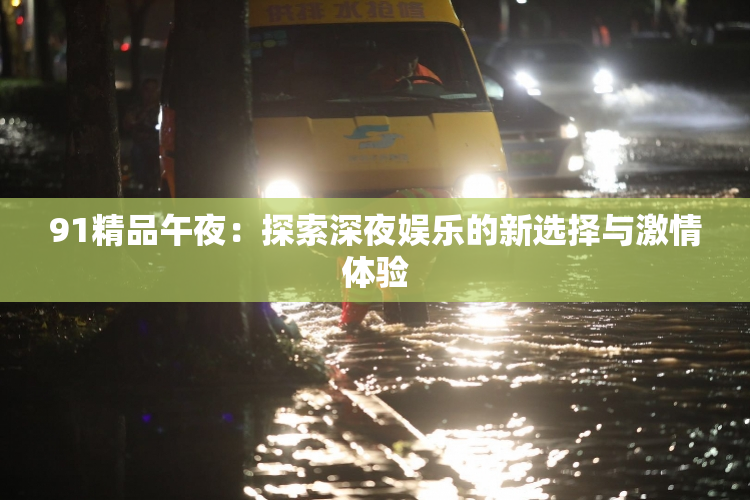 91精品午夜：探索深夜娱乐的新选择与激情体验