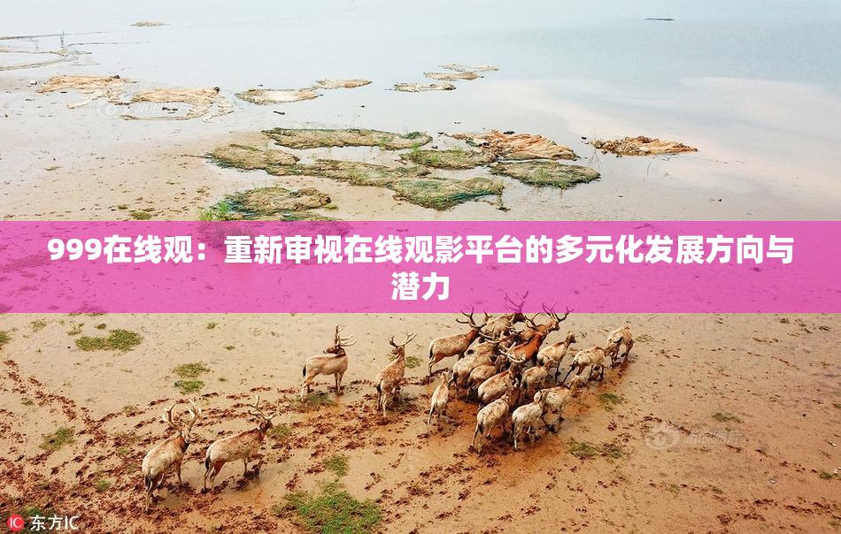 999在线观：重新审视在线观影平台的多元化发展方向与潜力