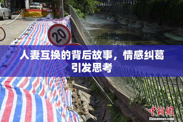 人妻互换的背后故事，情感纠葛引发思考