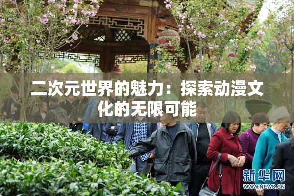 二次元世界的魅力：探索动漫文化的无限可能