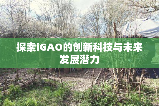 探索iGAO的创新科技与未来发展潜力