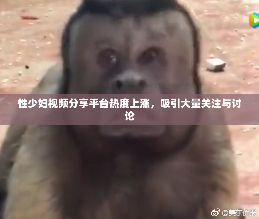 性少妇视频分享平台热度上涨，吸引大量关注与讨论