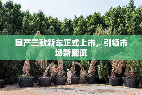 国产三款新车正式上市，引领市场新潮流