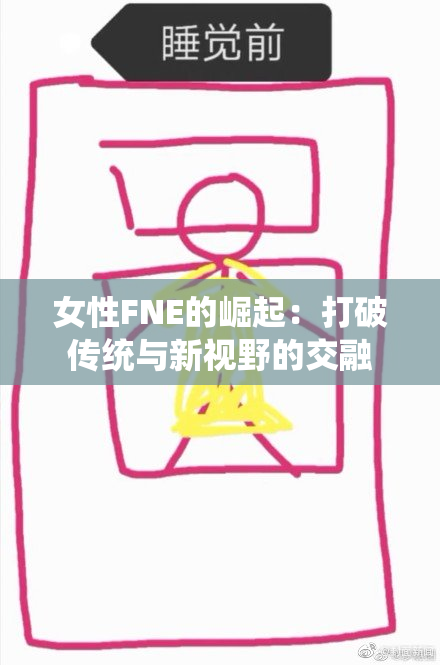 女性FNE的崛起：打破传统与新视野的交融