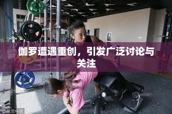 伽罗遭遇重创，引发广泛讨论与关注