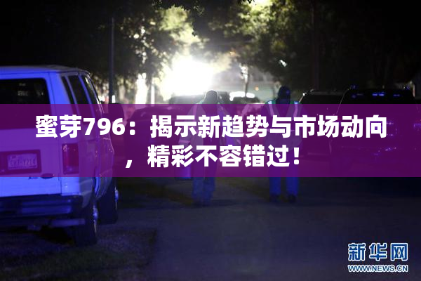 蜜芽796：揭示新趋势与市场动向，精彩不容错过！