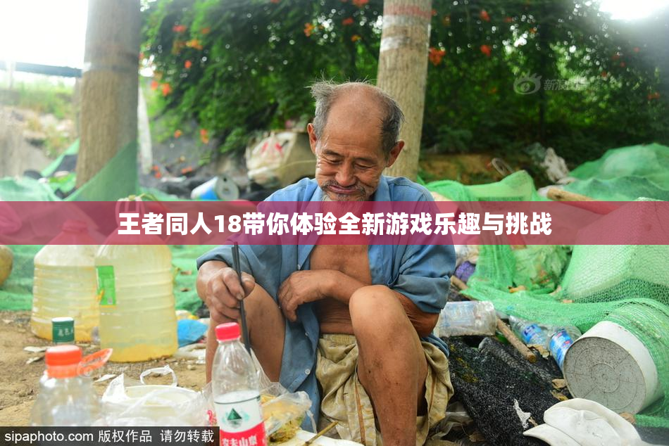 王者同人18带你体验全新游戏乐趣与挑战