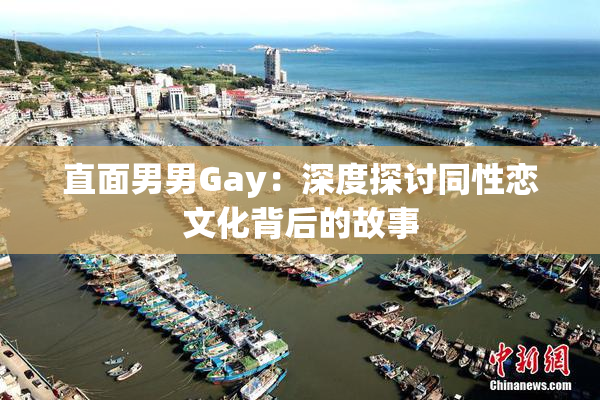 直面男男Gay：深度探讨同性恋文化背后的故事