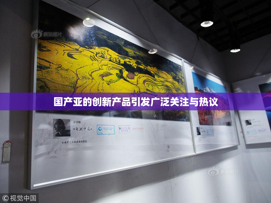 国产亚的创新产品引发广泛关注与热议