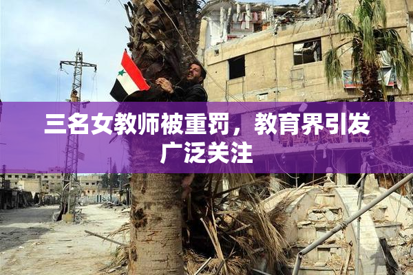 三名女教师被重罚，教育界引发广泛关注