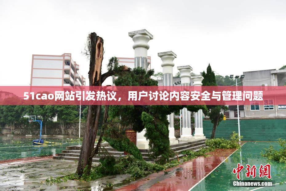 51cao网站引发热议，用户讨论内容安全与管理问题