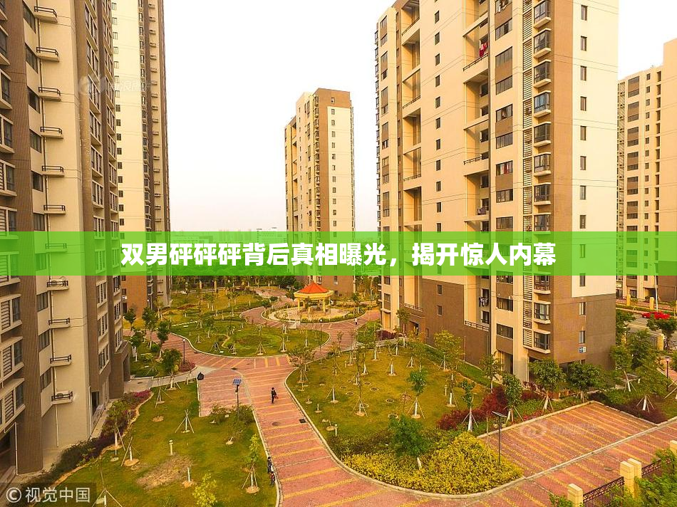 双男砰砰砰背后真相曝光，揭开惊人内幕