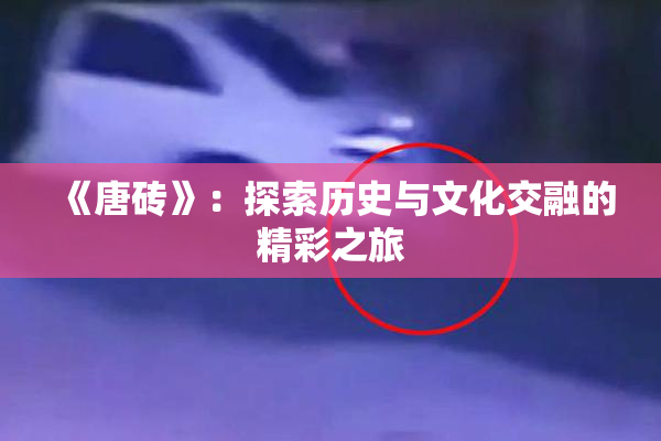 《唐砖》：探索历史与文化交融的精彩之旅