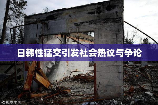 日韩性猛交引发社会热议与争论